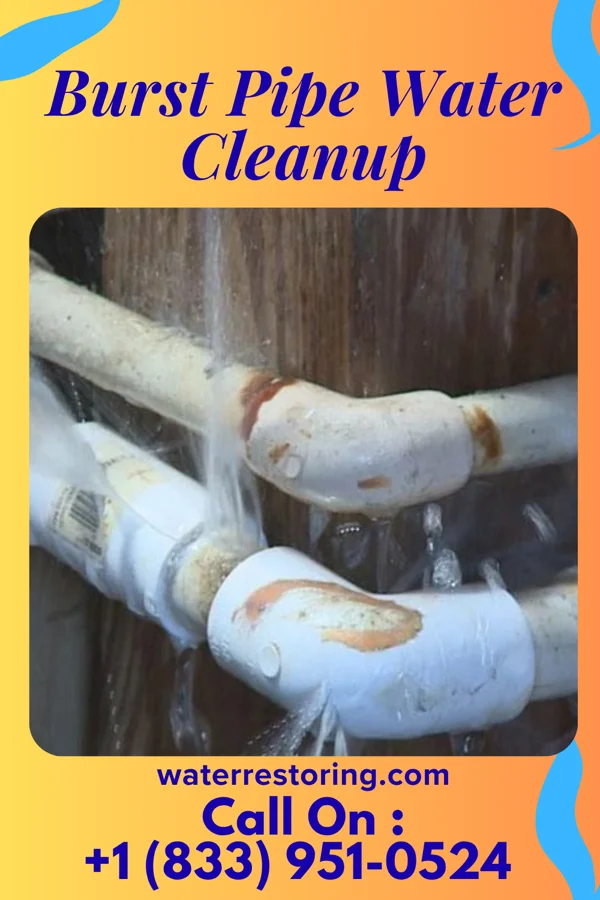 Burst Pipe Water Cleanup in New Salem, IL