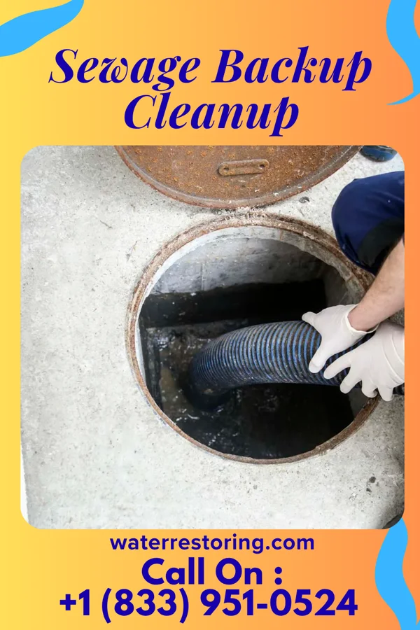 Sewage Backup Cleanup in New Salem, IL